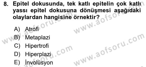 Temel Veteriner Patoloji Dersi 2016 - 2017 Yılı (Final) Dönem Sonu Sınav Soruları 8. Soru