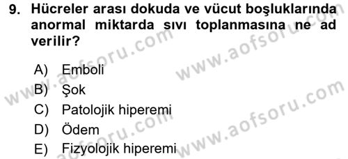 Temel Veteriner Patoloji Dersi 2016 - 2017 Yılı (Final) Dönem Sonu Sınav Soruları 9. Soru