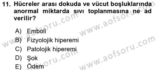 Temel Veteriner Patoloji Dersi 2017 - 2018 Yılı 3 Ders Sınav Soruları 11. Soru