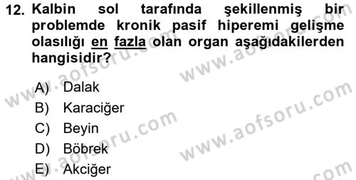 Temel Veteriner Patoloji Dersi 2017 - 2018 Yılı 3 Ders Sınav Soruları 12. Soru