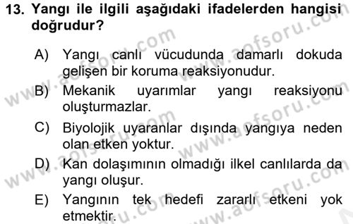 Temel Veteriner Patoloji Dersi 2017 - 2018 Yılı 3 Ders Sınav Soruları 13. Soru