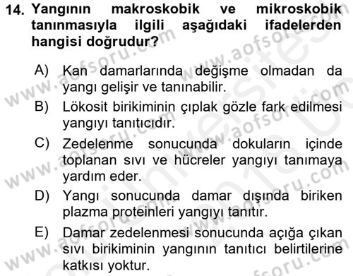 Temel Veteriner Patoloji Dersi 2017 - 2018 Yılı 3 Ders Sınav Soruları 14. Soru