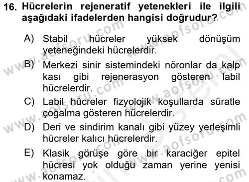 Temel Veteriner Patoloji Dersi 2017 - 2018 Yılı 3 Ders Sınav Soruları 16. Soru