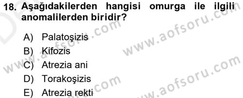 Temel Veteriner Patoloji Dersi 2017 - 2018 Yılı 3 Ders Sınav Soruları 18. Soru