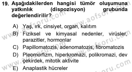 Temel Veteriner Patoloji Dersi 2017 - 2018 Yılı 3 Ders Sınav Soruları 19. Soru