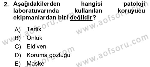 Temel Veteriner Patoloji Dersi 2017 - 2018 Yılı 3 Ders Sınav Soruları 2. Soru