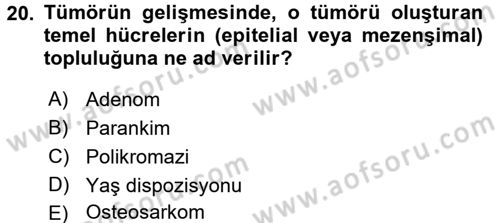Temel Veteriner Patoloji Dersi 2017 - 2018 Yılı 3 Ders Sınav Soruları 20. Soru