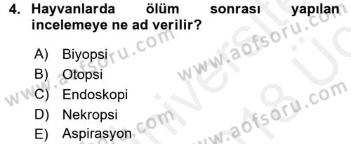 Temel Veteriner Patoloji Dersi 2017 - 2018 Yılı 3 Ders Sınav Soruları 4. Soru