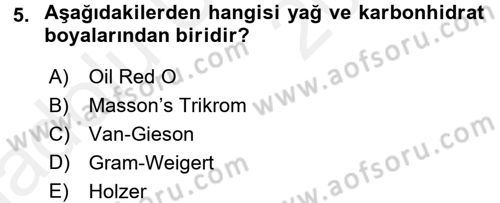 Temel Veteriner Patoloji Dersi 2017 - 2018 Yılı 3 Ders Sınav Soruları 5. Soru