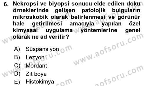 Temel Veteriner Patoloji Dersi 2017 - 2018 Yılı 3 Ders Sınav Soruları 6. Soru
