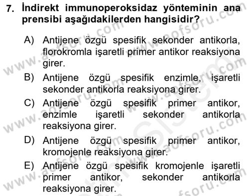 Temel Veteriner Patoloji Dersi 2017 - 2018 Yılı 3 Ders Sınav Soruları 7. Soru