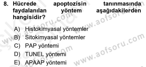 Temel Veteriner Patoloji Dersi 2017 - 2018 Yılı 3 Ders Sınav Soruları 8. Soru