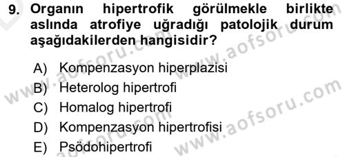 Temel Veteriner Patoloji Dersi 2017 - 2018 Yılı 3 Ders Sınav Soruları 9. Soru