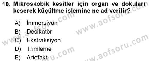Temel Veteriner Patoloji Dersi 2017 - 2018 Yılı (Vize) Ara Sınav Soruları 10. Soru