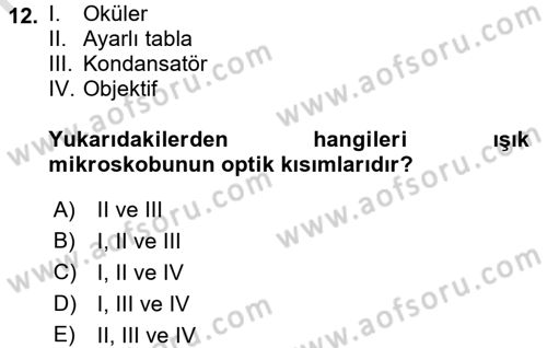 Temel Veteriner Patoloji Dersi 2017 - 2018 Yılı (Vize) Ara Sınav Soruları 12. Soru