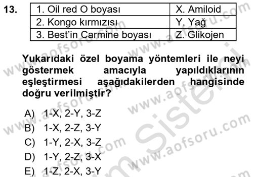 Temel Veteriner Patoloji Dersi Ara Sınavı Deneme Sınav Soruları 13. Soru