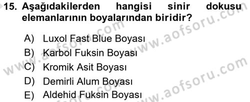 Temel Veteriner Patoloji Dersi 2017 - 2018 Yılı (Vize) Ara Sınav Soruları 15. Soru
