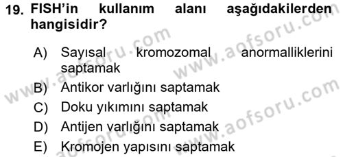 Temel Veteriner Patoloji Dersi 2017 - 2018 Yılı (Vize) Ara Sınav Soruları 19. Soru