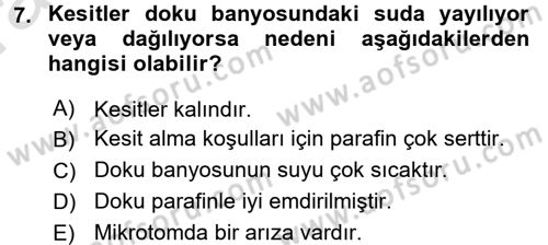 Temel Veteriner Patoloji Dersi 2017 - 2018 Yılı (Vize) Ara Sınav Soruları 7. Soru