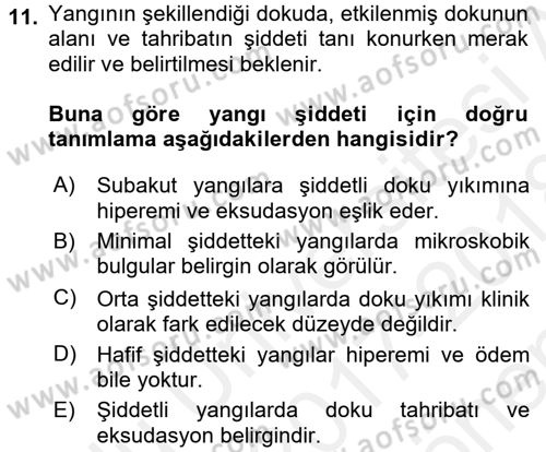 Temel Veteriner Patoloji Dersi 2017 - 2018 Yılı (Final) Dönem Sonu Sınav Soruları 11. Soru