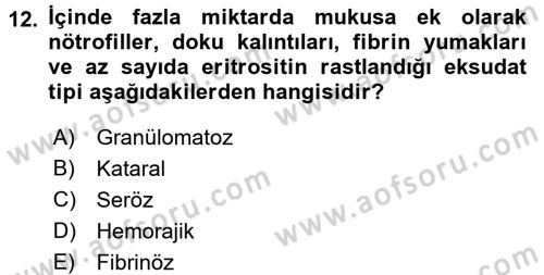 Temel Veteriner Patoloji Dersi 2017 - 2018 Yılı (Final) Dönem Sonu Sınav Soruları 12. Soru