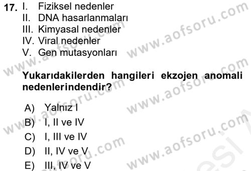 Temel Veteriner Patoloji Dersi 2017 - 2018 Yılı (Final) Dönem Sonu Sınav Soruları 17. Soru