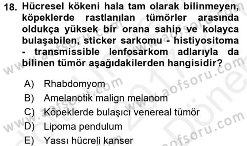Temel Veteriner Patoloji Dersi 2017 - 2018 Yılı (Final) Dönem Sonu Sınav Soruları 18. Soru