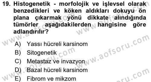 Temel Veteriner Patoloji Dersi 2017 - 2018 Yılı (Final) Dönem Sonu Sınav Soruları 19. Soru