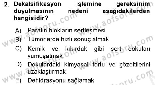 Temel Veteriner Patoloji Dersi 2017 - 2018 Yılı (Final) Dönem Sonu Sınav Soruları 2. Soru