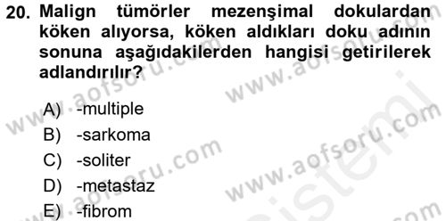 Temel Veteriner Patoloji Dersi 2017 - 2018 Yılı (Final) Dönem Sonu Sınav Soruları 20. Soru