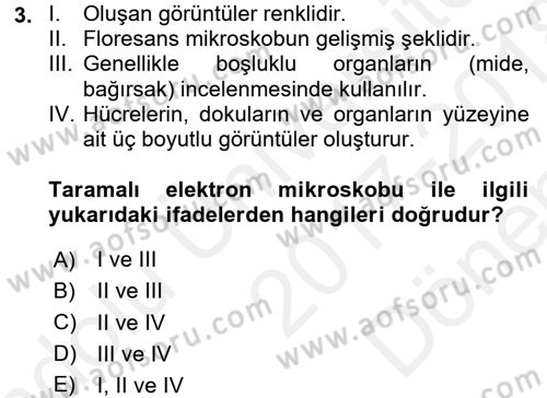 Temel Veteriner Patoloji Dersi 2017 - 2018 Yılı (Final) Dönem Sonu Sınav Soruları 3. Soru