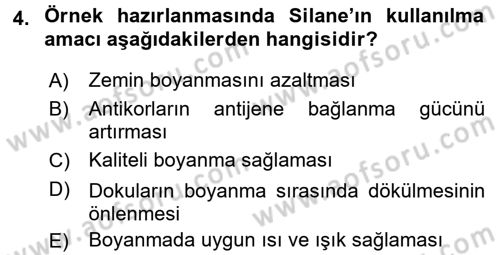 Temel Veteriner Patoloji Dersi 2017 - 2018 Yılı (Final) Dönem Sonu Sınav Soruları 4. Soru