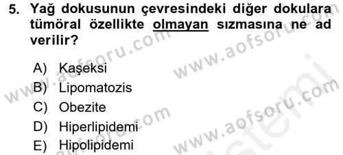Temel Veteriner Patoloji Dersi 2017 - 2018 Yılı (Final) Dönem Sonu Sınav Soruları 5. Soru