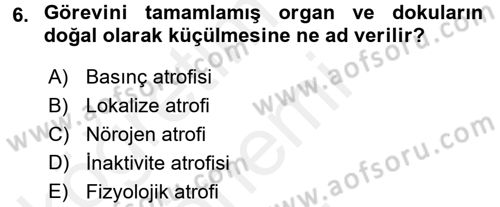 Temel Veteriner Patoloji Dersi 2017 - 2018 Yılı (Final) Dönem Sonu Sınav Soruları 6. Soru