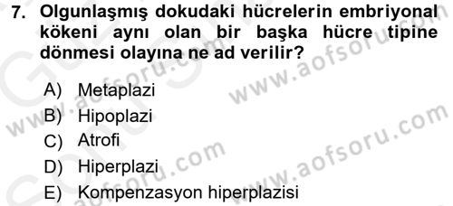 Temel Veteriner Patoloji Dersi 2017 - 2018 Yılı (Final) Dönem Sonu Sınav Soruları 7. Soru