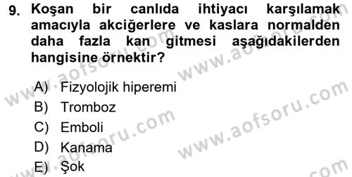Temel Veteriner Patoloji Dersi 2017 - 2018 Yılı (Final) Dönem Sonu Sınav Soruları 9. Soru