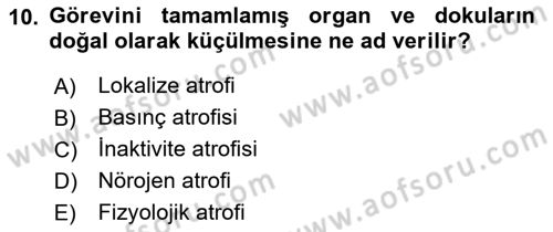 Temel Veteriner Patoloji Dersi 2018 - 2019 Yılı 3 Ders Sınav Soruları 10. Soru
