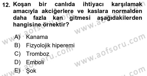Temel Veteriner Patoloji Dersi 2018 - 2019 Yılı 3 Ders Sınav Soruları 12. Soru