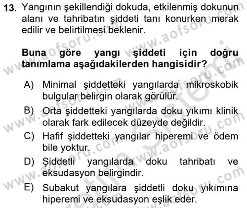 Temel Veteriner Patoloji Dersi 2018 - 2019 Yılı 3 Ders Sınav Soruları 13. Soru