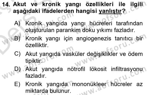 Temel Veteriner Patoloji Dersi 2018 - 2019 Yılı 3 Ders Sınav Soruları 14. Soru
