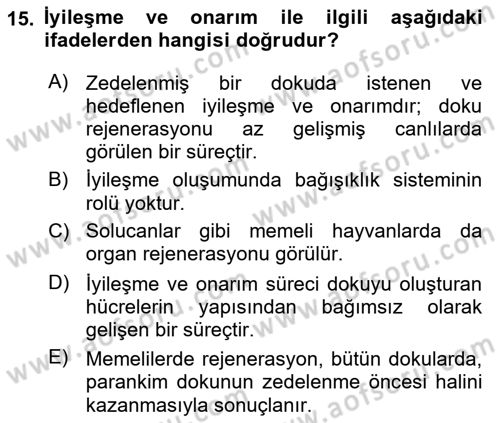 Temel Veteriner Patoloji Dersi 2018 - 2019 Yılı 3 Ders Sınav Soruları 15. Soru