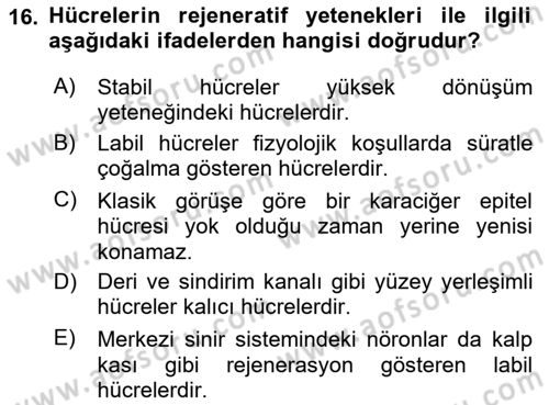 Temel Veteriner Patoloji Dersi 2018 - 2019 Yılı 3 Ders Sınav Soruları 16. Soru