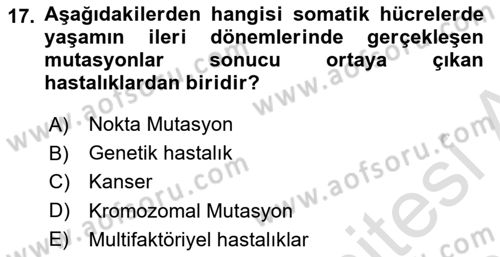 Temel Veteriner Patoloji Dersi 2018 - 2019 Yılı 3 Ders Sınav Soruları 17. Soru