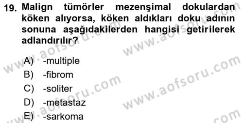 Temel Veteriner Patoloji Dersi 2018 - 2019 Yılı 3 Ders Sınav Soruları 19. Soru