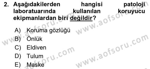 Temel Veteriner Patoloji Dersi 2018 - 2019 Yılı 3 Ders Sınav Soruları 2. Soru