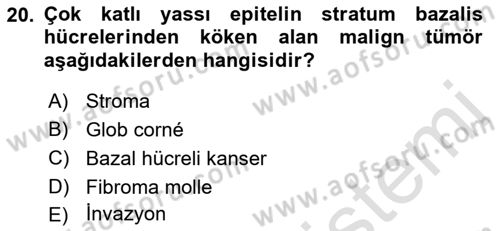 Temel Veteriner Patoloji Dersi 2018 - 2019 Yılı 3 Ders Sınav Soruları 20. Soru
