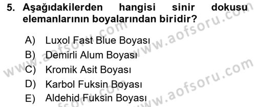 Temel Veteriner Patoloji Dersi 2018 - 2019 Yılı 3 Ders Sınav Soruları 5. Soru