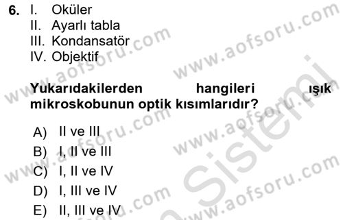 Temel Veteriner Patoloji Dersi 2018 - 2019 Yılı 3 Ders Sınav Soruları 6. Soru