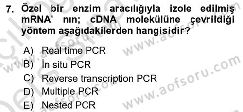 Temel Veteriner Patoloji Dersi 2018 - 2019 Yılı 3 Ders Sınav Soruları 7. Soru