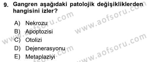 Temel Veteriner Patoloji Dersi 2018 - 2019 Yılı 3 Ders Sınav Soruları 9. Soru
